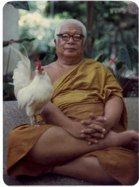 ปฏิบัติตนอย่างไรในวันมาฆบูชา 3 download 8