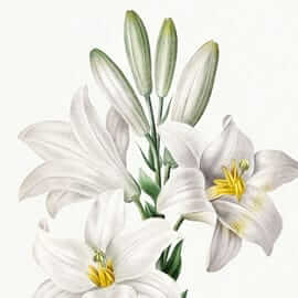 วันแห่งสติ - ธรรมบรรยาย หัวข้อ ‘มรดกที่แท้จริง’ โดย พระภิกษุ ทิช เจิน ฟับ คัม 15 picture20240102144857