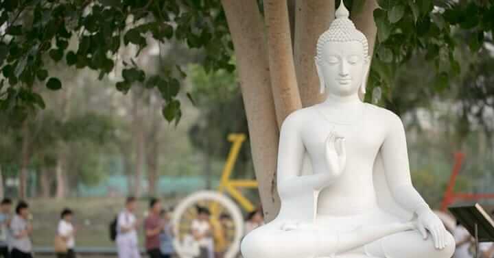 กองทุนธรรมทาน หอจดหมายเหตุพุทธทาส อินทปัญโญ 9 picture in20220906031639