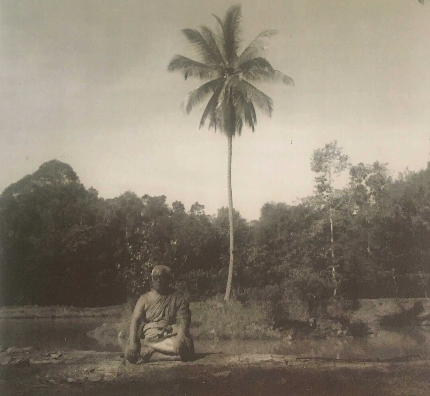 6 Nalikae Coconut Tree 1 Buddhadasa at Nakilae