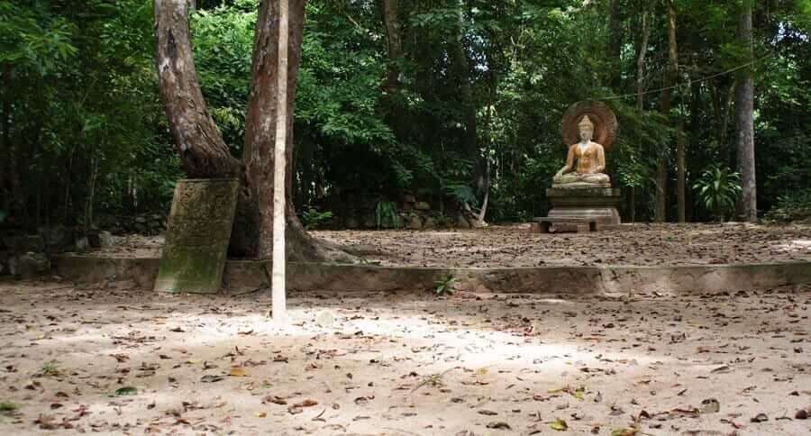 15 Owata Patimokkha Hall 1 suanmokkh8 f9f414da06511a178e214835ee42ce351934f5889b81cda597b31f1207df1f71 1