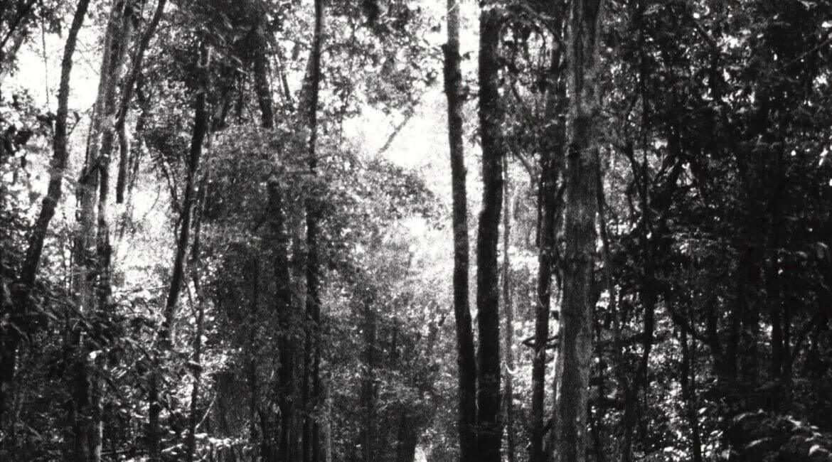 Where Is Suan Mokkh? 12 2016031