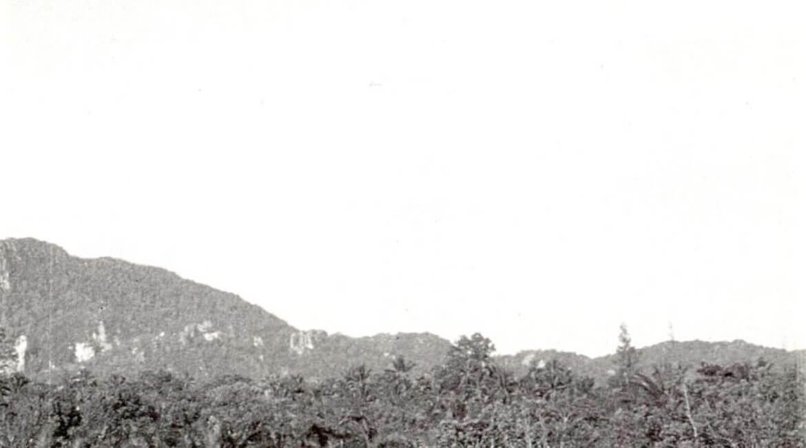 Towards Buddha-Dhamma 18 2021042 1