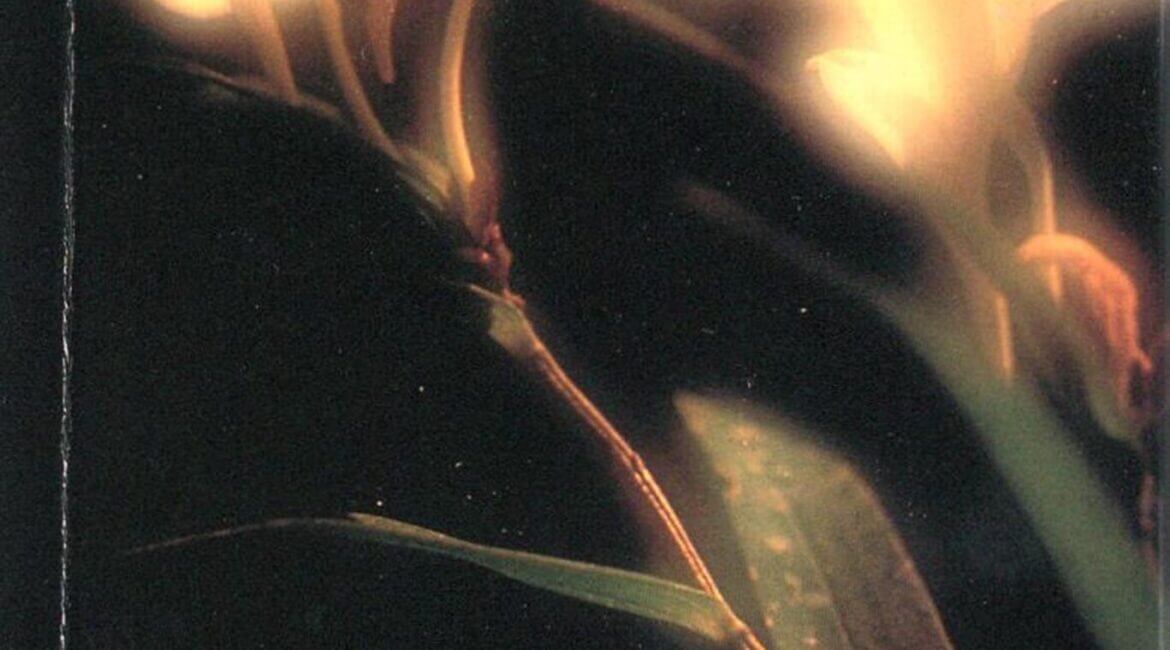 Food for Thought 16 2021042