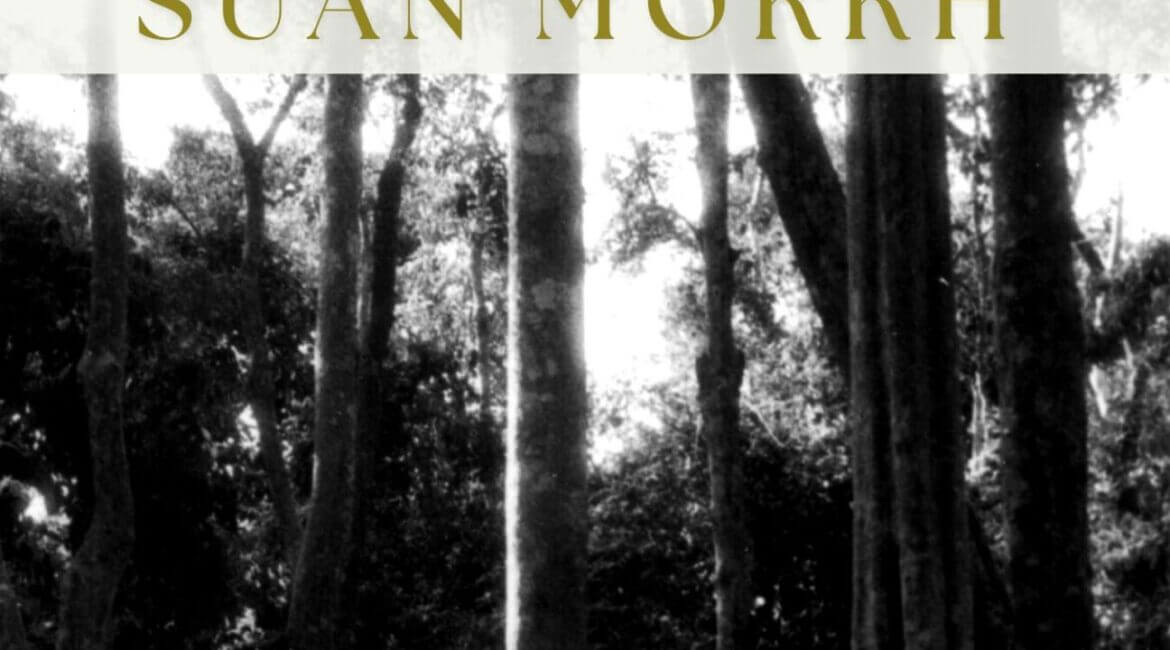 24 Benefits You Should Get from Coming to Suan Mokkh 1 24 Benefits ปกหน้า