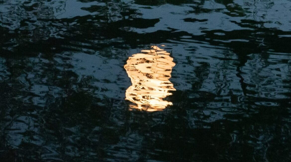 Deathlessness 8 Deathlessness ปกหน้า