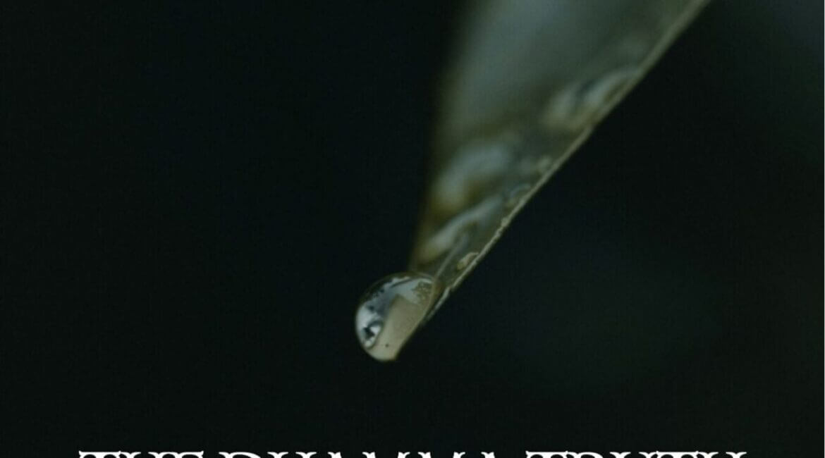 The Dhamma Truth of Samatha-Vipassanā for the Nuclear Age 5 Dhamma Truth ปกหน้า edited