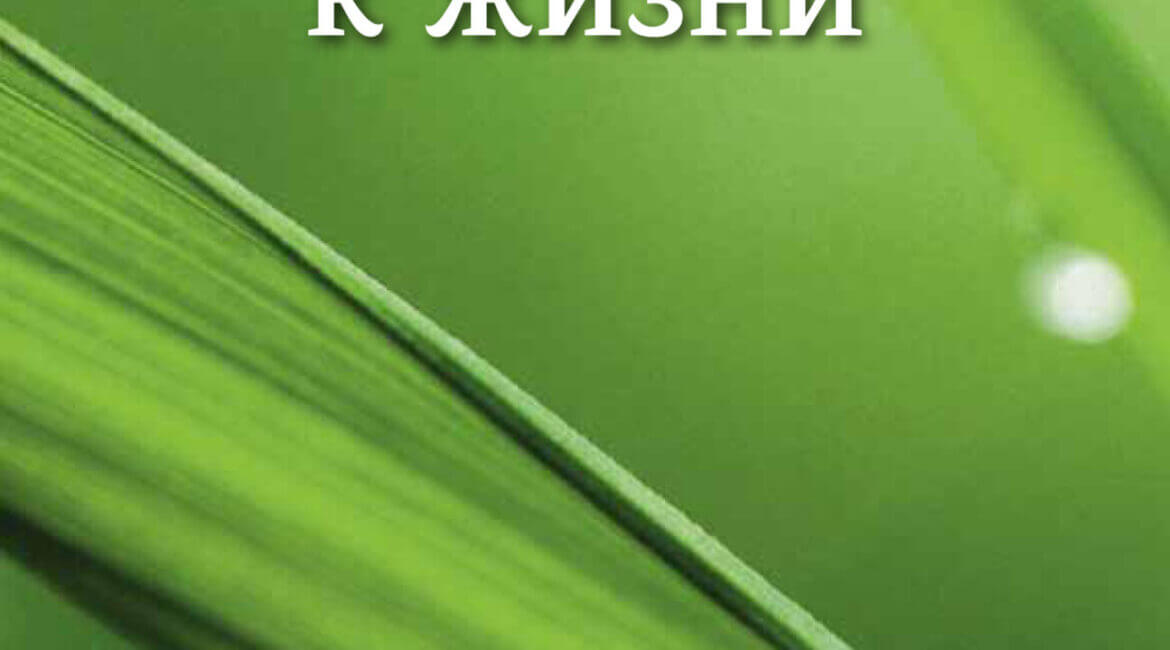 Руководство к жизни (Handbook for Mankind) 5 Handbook for mankind Руководство к жизни 2014 pdf