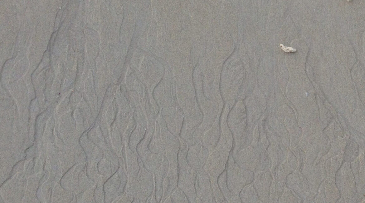 Ключи к Истине (Keys to Natural Truth) 2 Keys to Natural Truth Russian new PDF