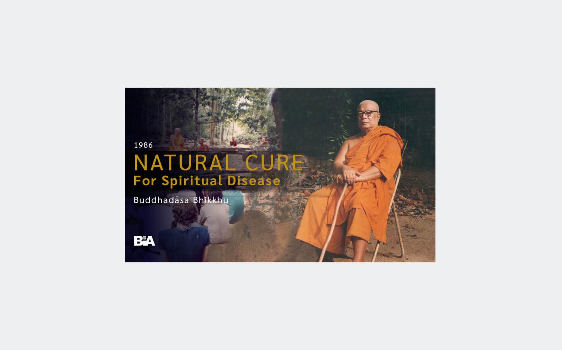 8602 Natural Cure for Spiritual Disease-audio