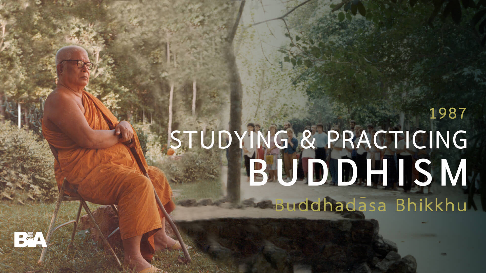 8701 Studying & Practicing Buddhism