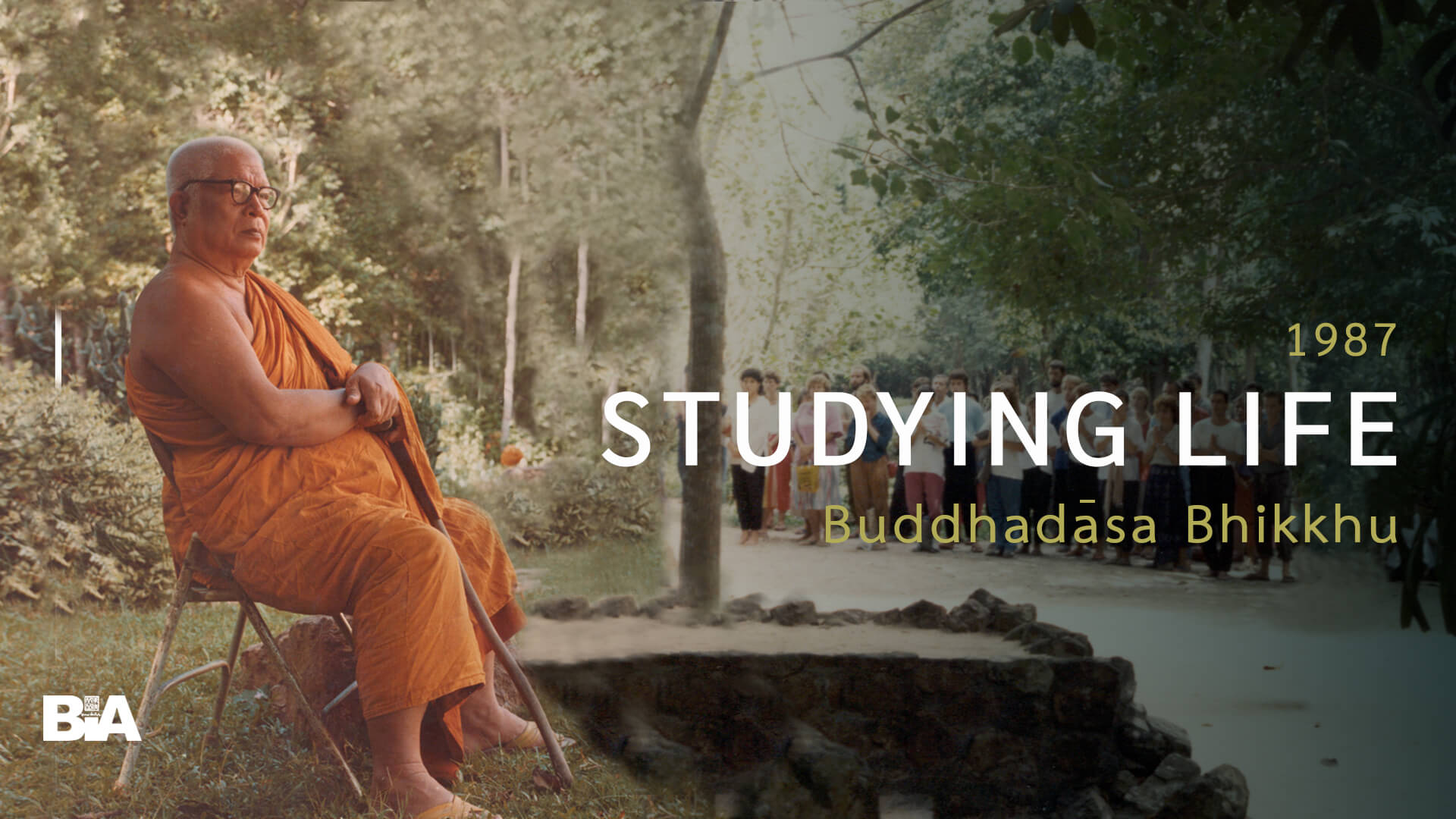 8702 Studying Life
