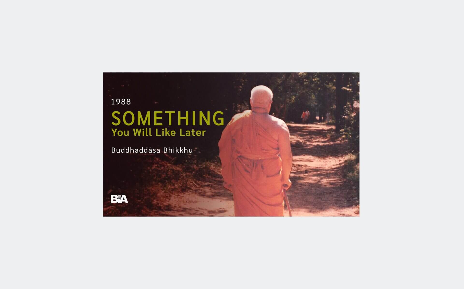 8809 Something You Will Like Later-audio