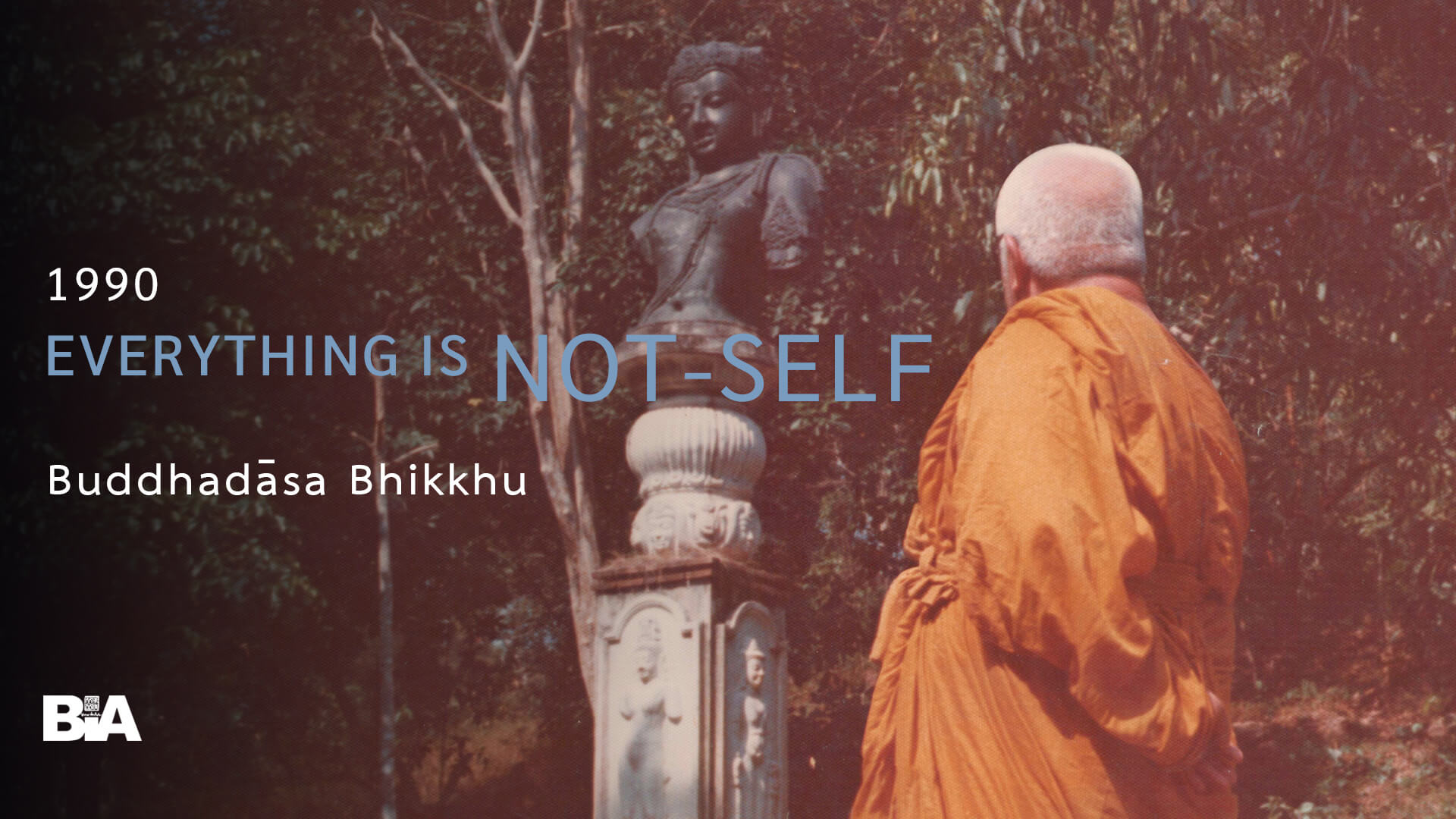 9008 Everything Is Not-Self