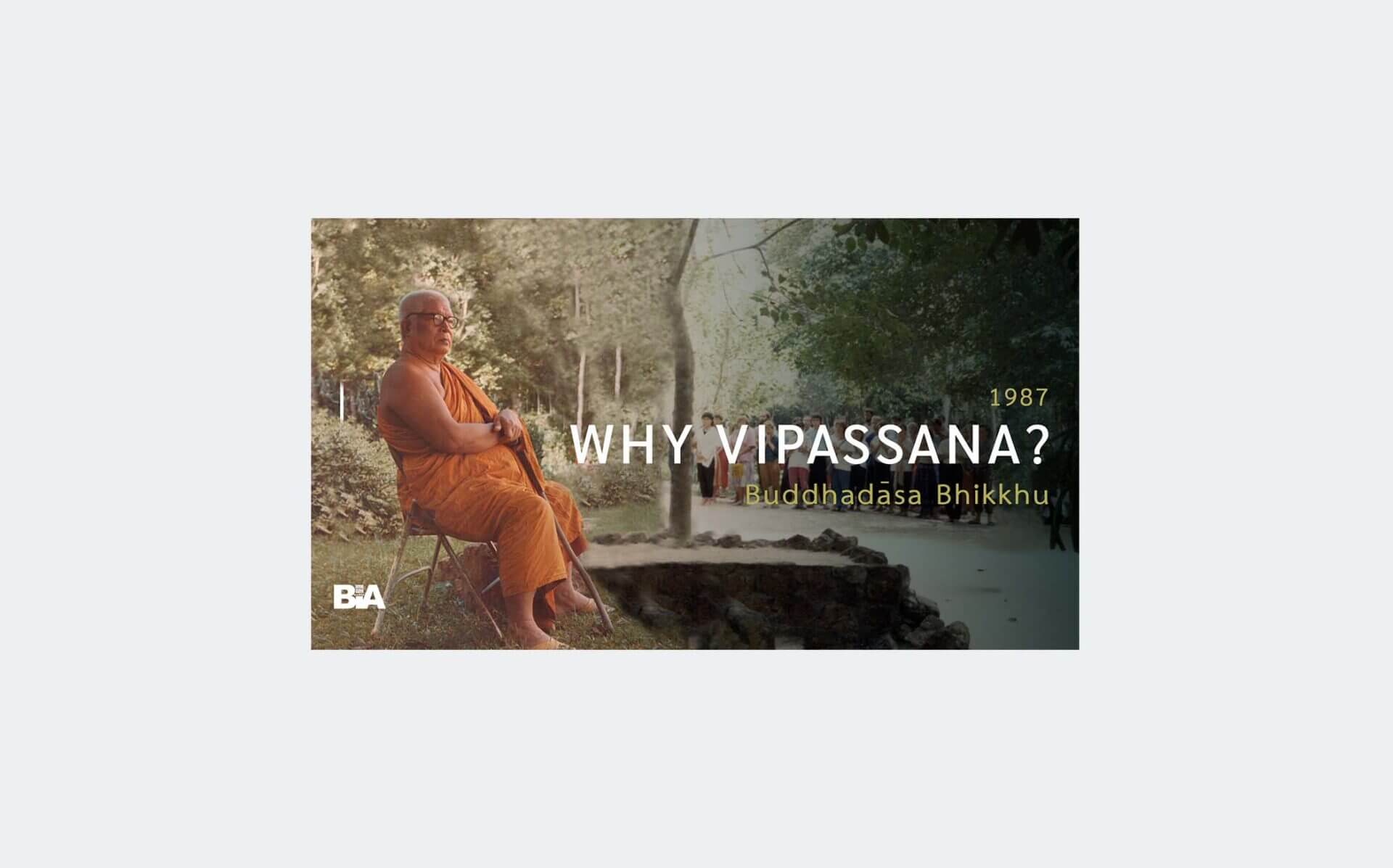 8704 Why Vipassana-audio