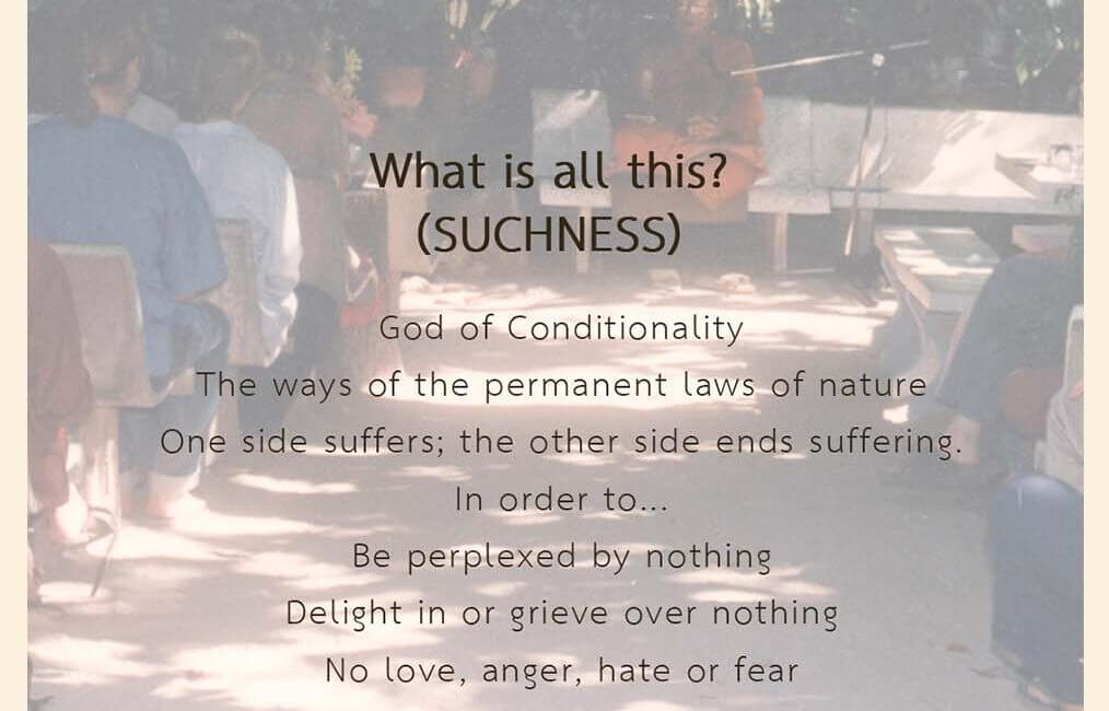 What is all this? (SUCHNESS) 23 03 Dhamma Likhit
