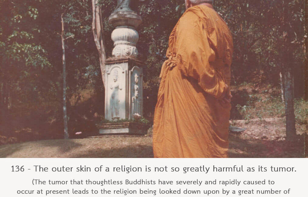 A Buddhist Charter #136 1 A Buddhist Charter 136