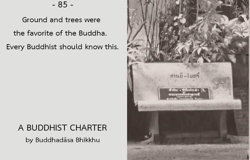 A Buddhist Charter #85 4 A Buddhist Charter 85