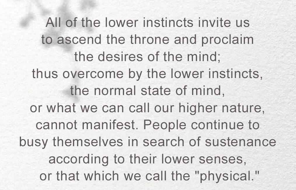 Food for Thought - 44 - 7 Food for Thought 44