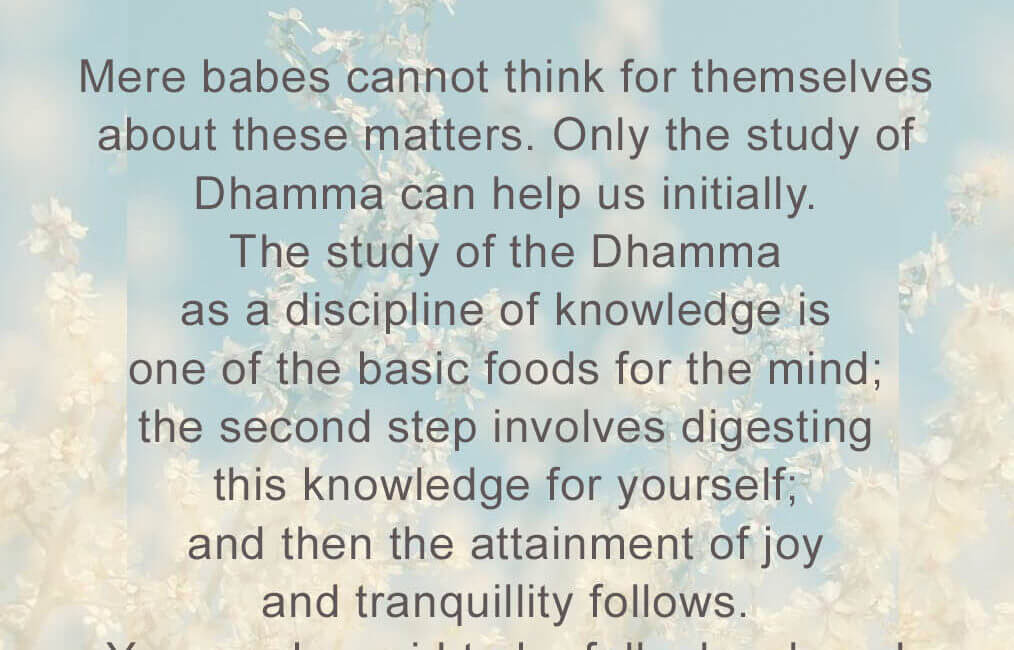 Food for Thought – 46 – 5 Food for Thought 46
