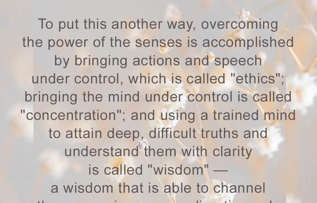 Food for Thought – 53 – 22 Food for Thought 53