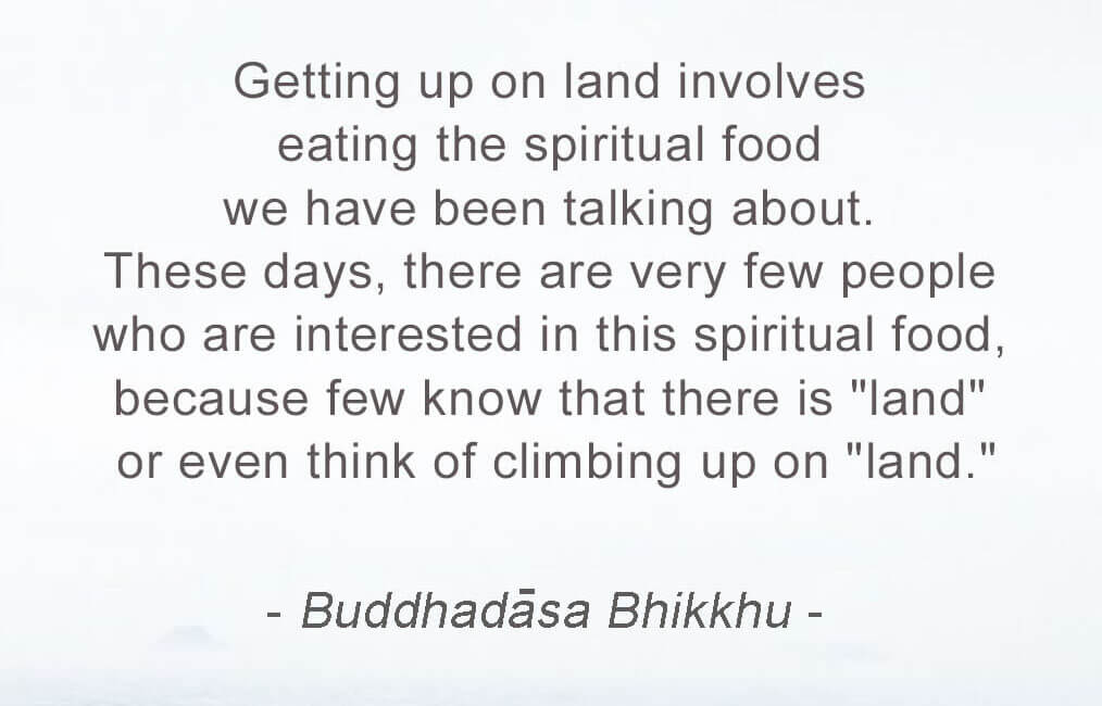 Food for Thought - 71 - 4 Food for Thought 71
