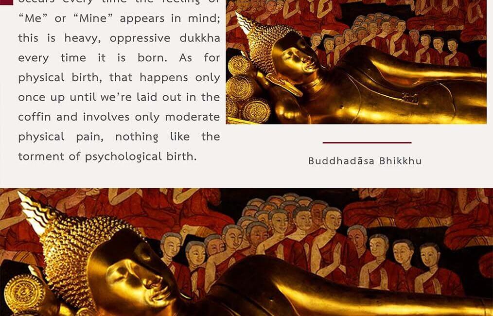 Legacy 101 16 Legacy 101