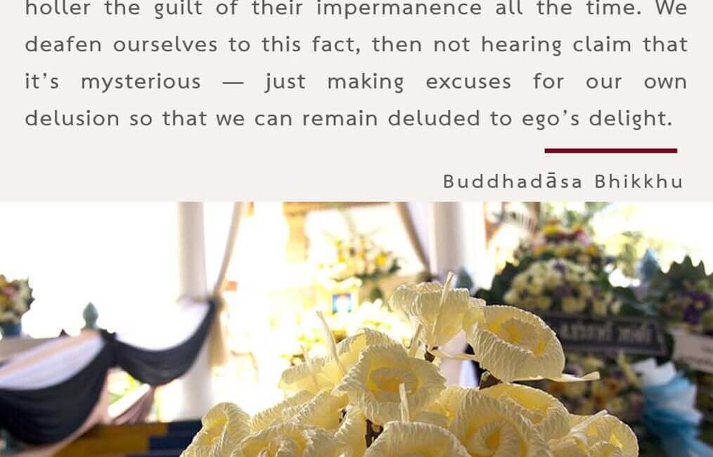 Legacy 115 2 Legacy 115