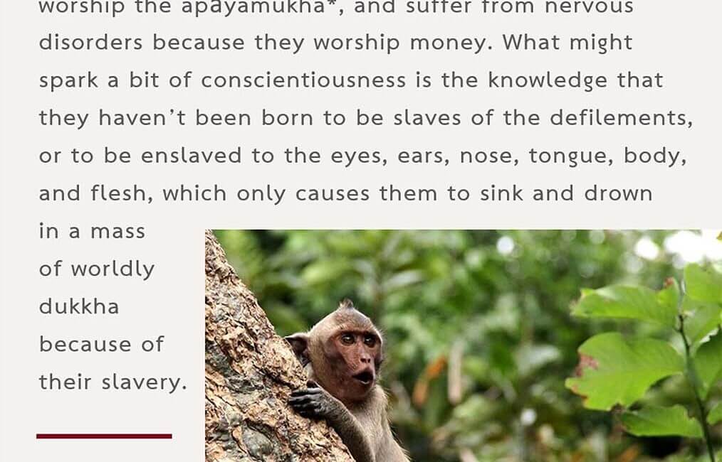 Legacy 128 13 Legacy 128