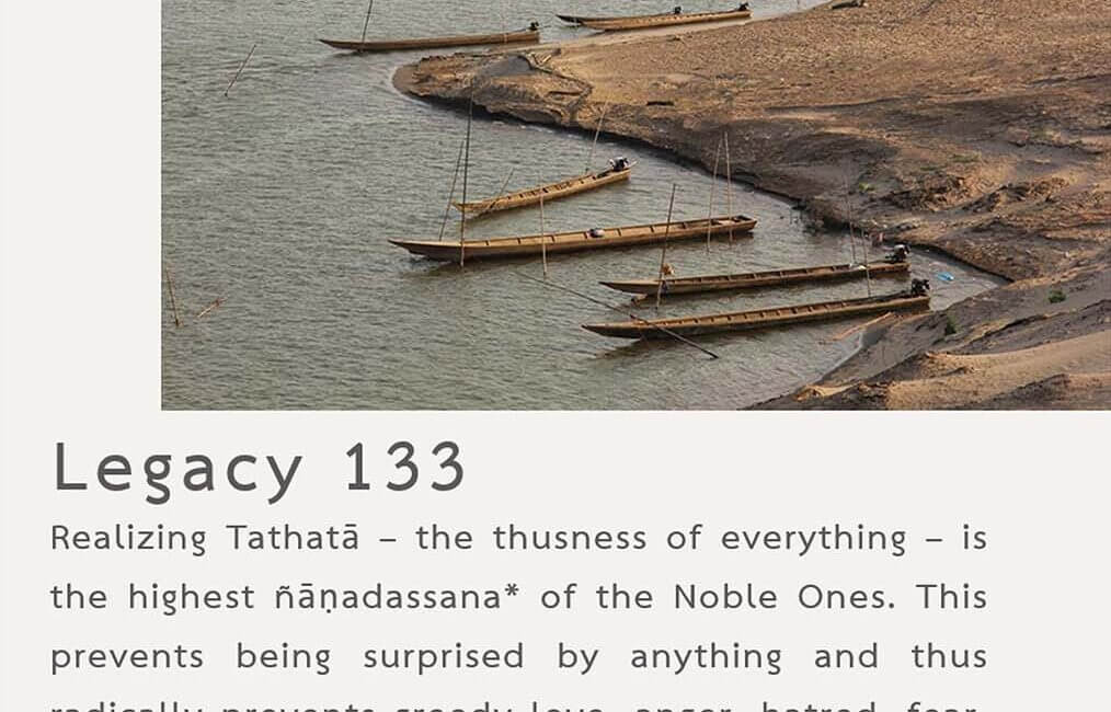 Legacy 133 8 Legacy 133