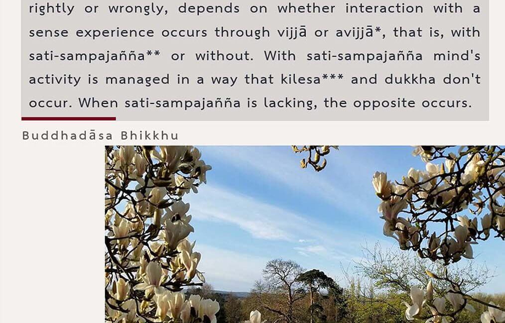 Legacy 134 7 Legacy 134