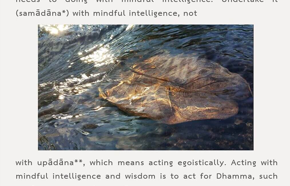 Legacy 137 4 Legacy 137