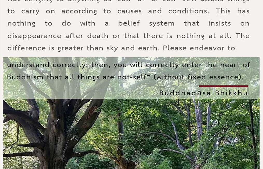 Legacy 139 2 Legacy 139