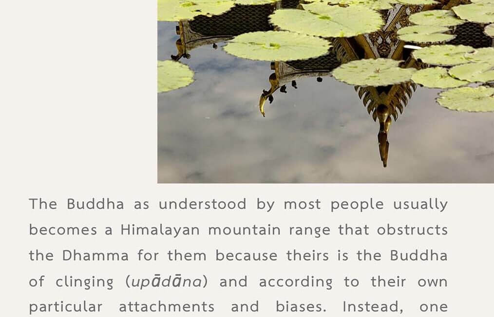 Legacy 45 24 Legacy 45