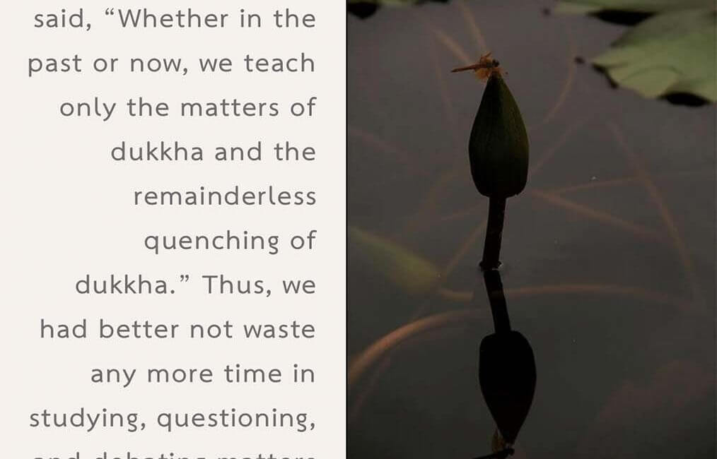 Legacy 47 22 Legacy 47