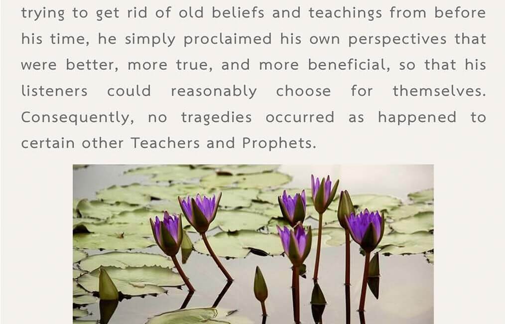 Legacy 48 21 Legacy 48