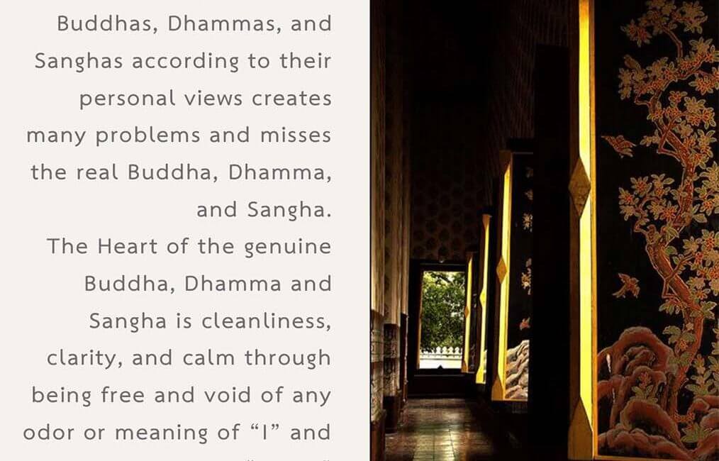 Legacy 49 20 Legacy 49