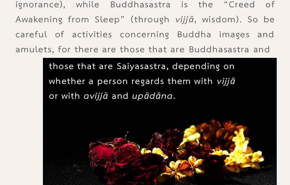 Legacy 50 19 Legacy 50