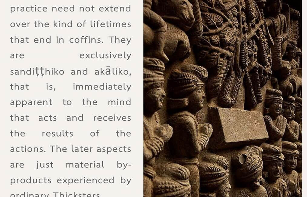 Legacy 51 18 Legacy 51