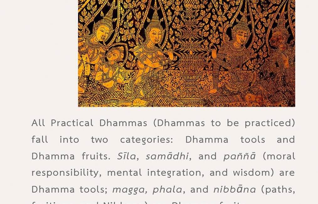 Legacy 55 14 Legacy 55