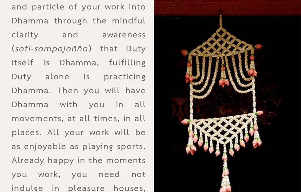 Legacy 56 13 Legacy 56