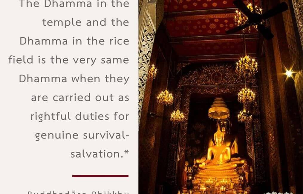 Legacy 58 11 Legacy 58