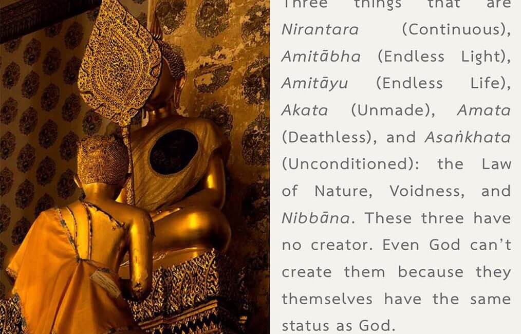 Legacy 59 10 Legacy 59