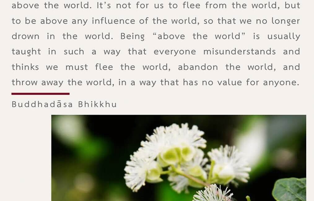 Legacy 62 7 Legacy 62