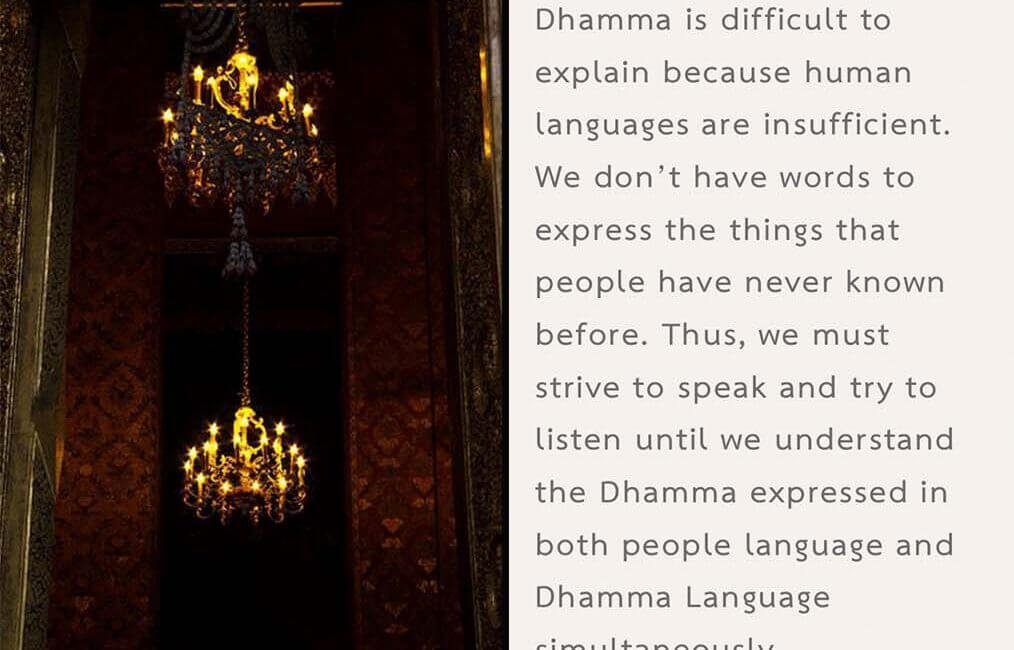 Legacy 63 6 Legacy 63