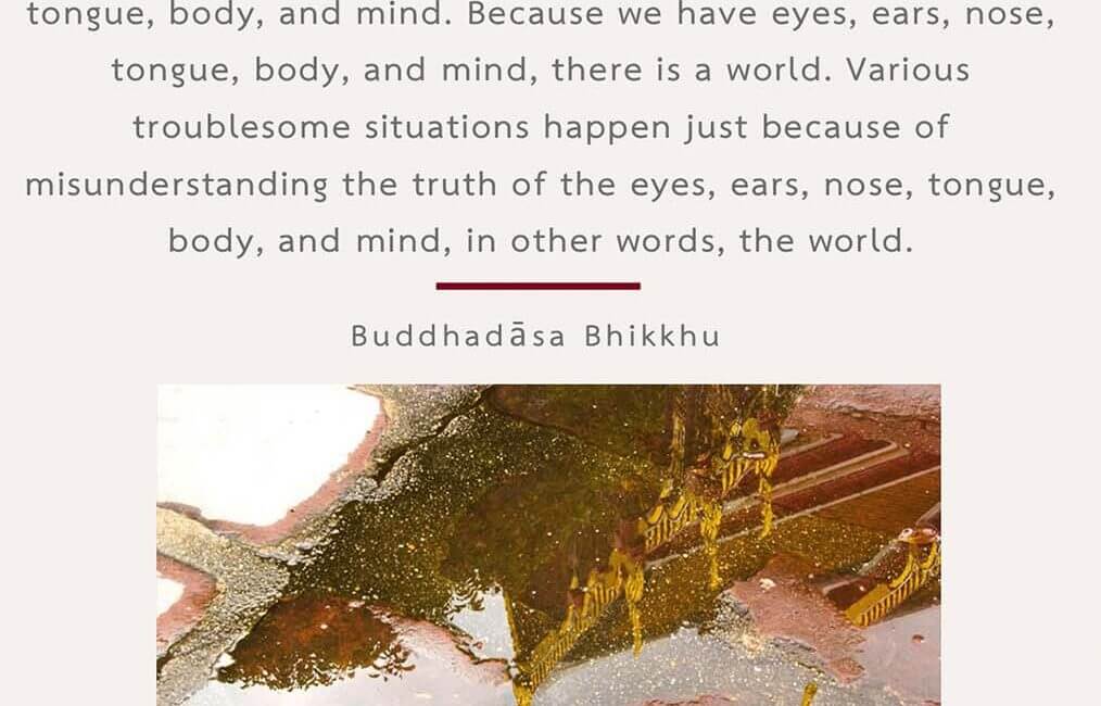 Legacy 68 1 Legacy 68