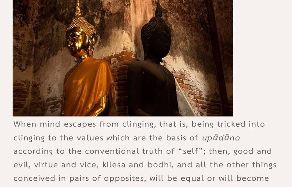 Legacy 74 19 Legacy 74