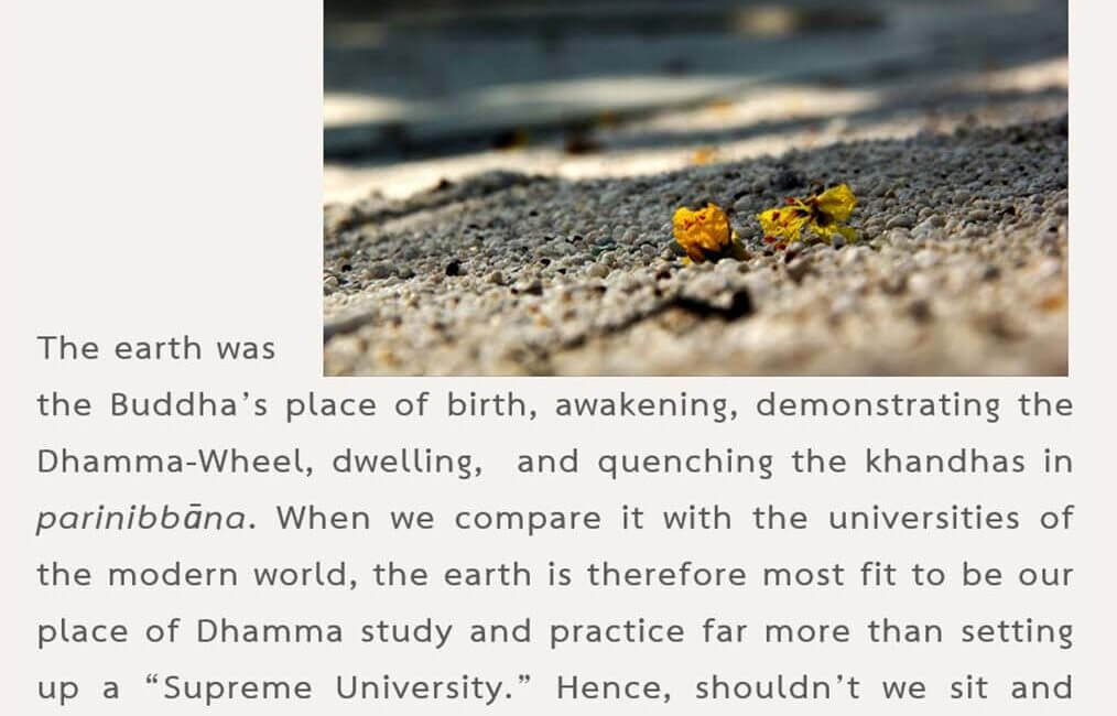 Legacy 76 17 Legacy 76