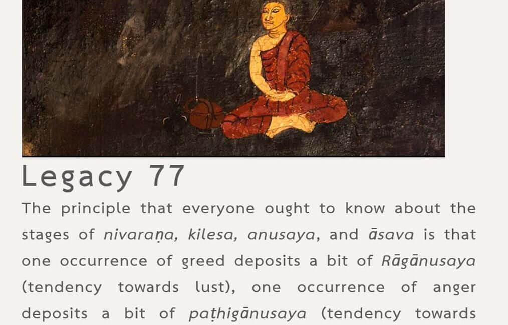 Legacy 77 16 Legacy 77