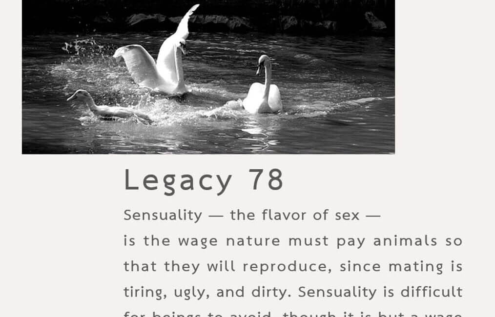 Legacy 78 15 Legacy 78